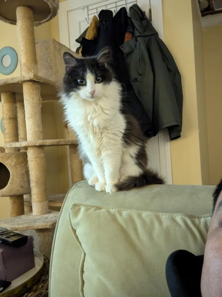 Titten thumbnail 5