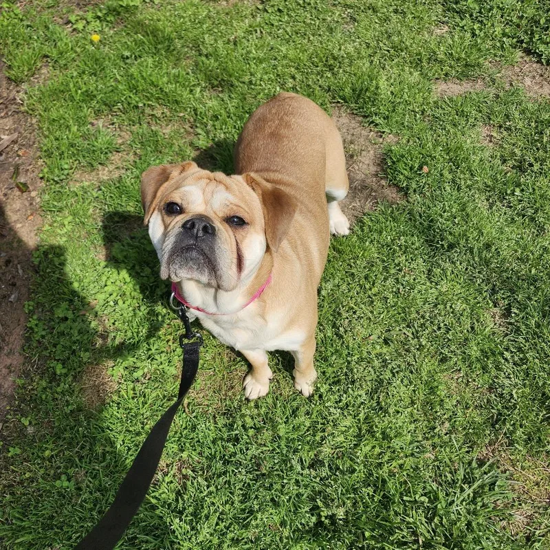 Lola Jean thumbnail 2