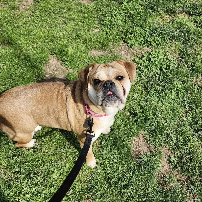 Lola Jean thumbnail 3