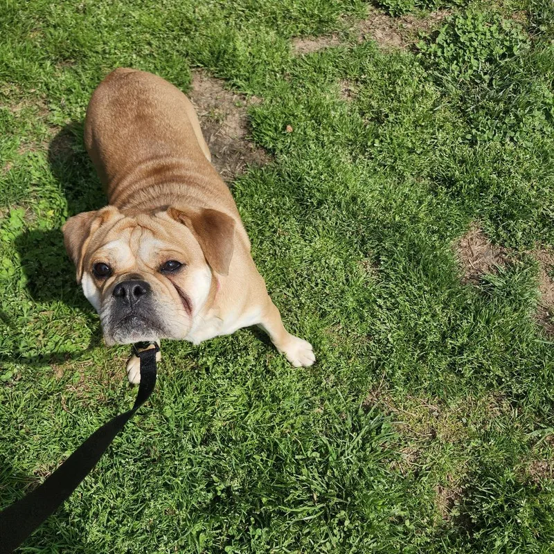 Lola Jean thumbnail 4