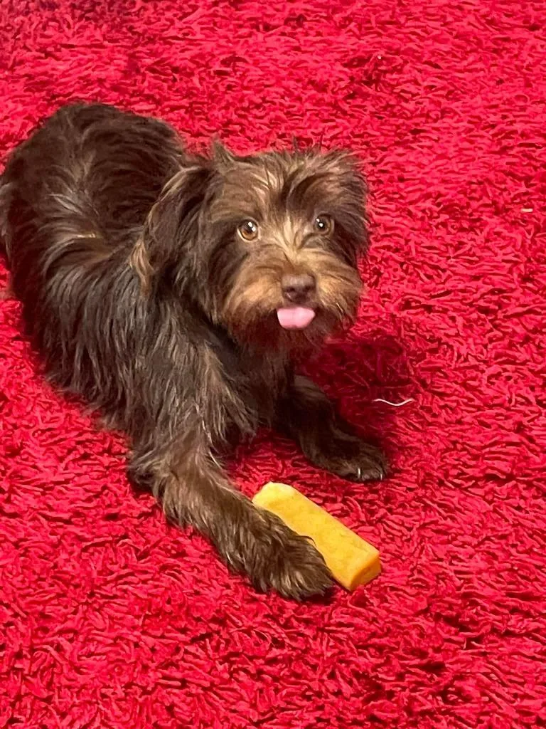 Coco