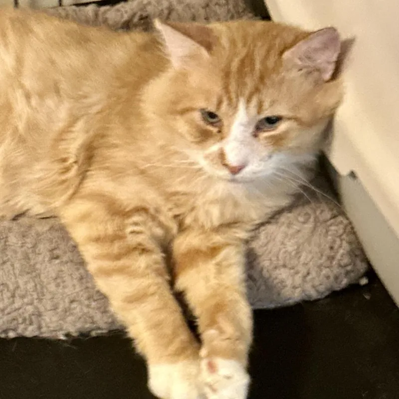 Sophisticated thumbnail 3