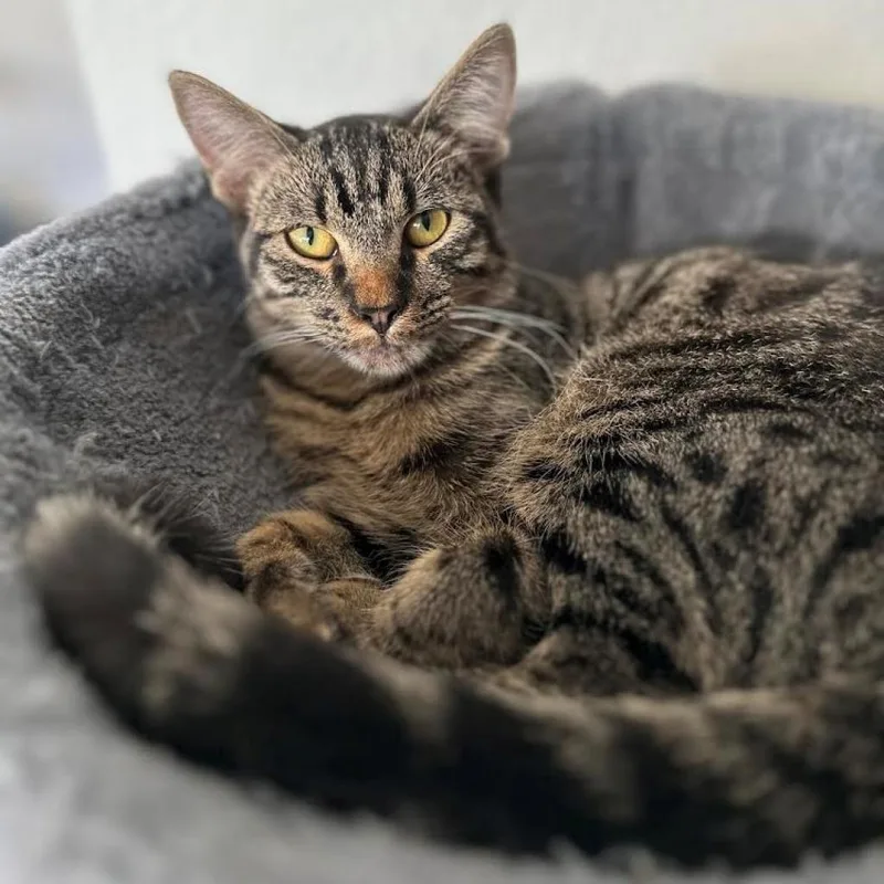 Pretty Boy thumbnail 2