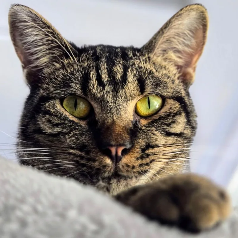 Pretty Boy thumbnail 3