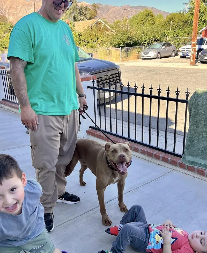 Canoodle thumbnail 5