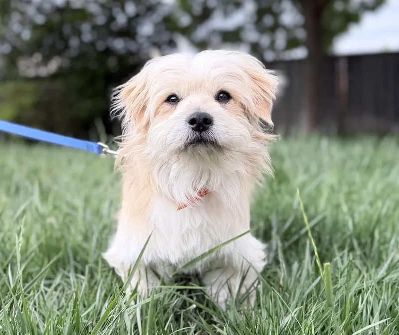 Polaroid thumbnail 2