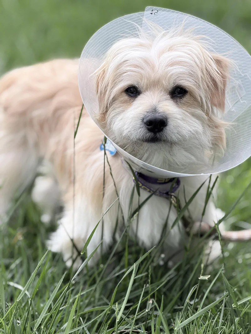 Polaroid thumbnail 3