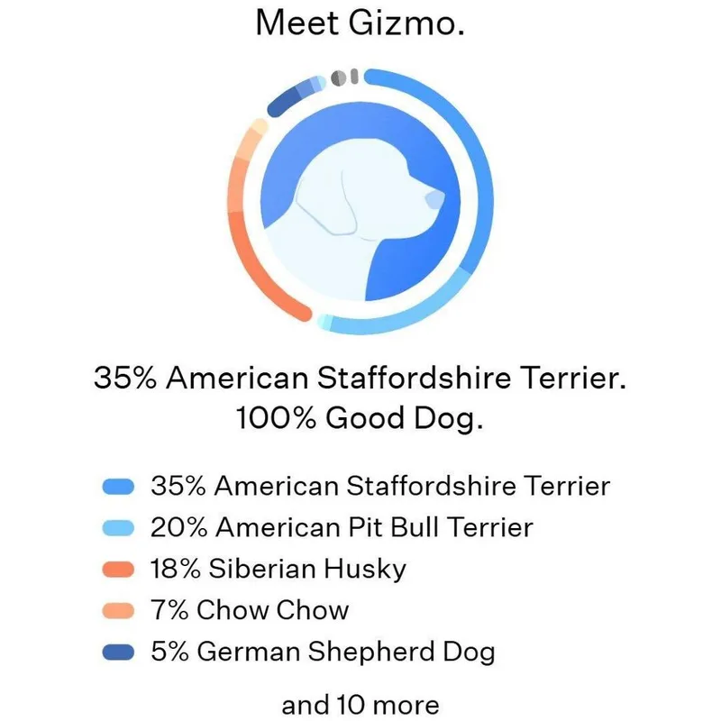 Gizmo thumbnail 2