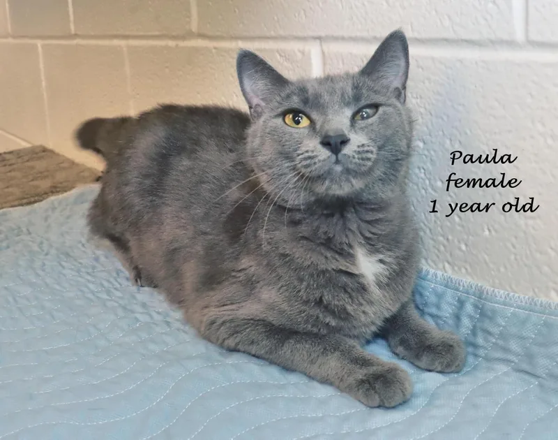 Paula thumbnail 5