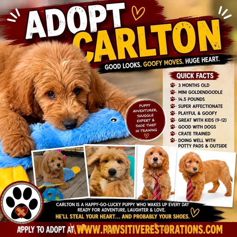 Carlton thumbnail 3