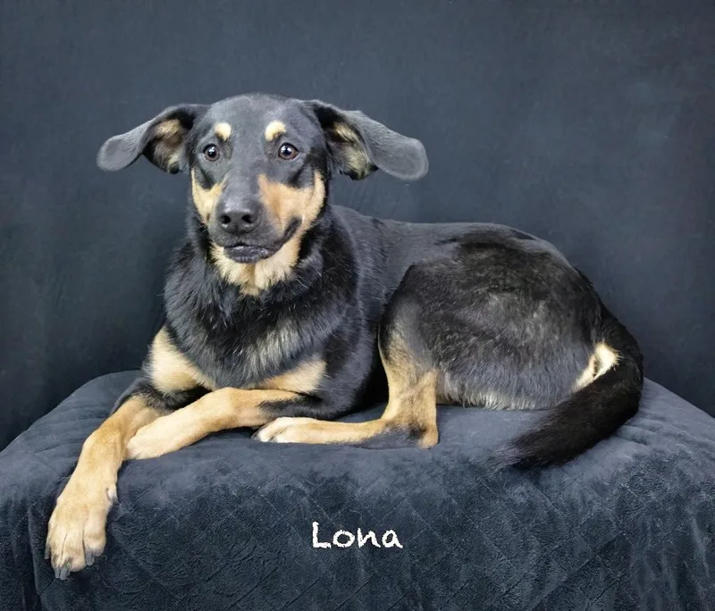Lona thumbnail 3
