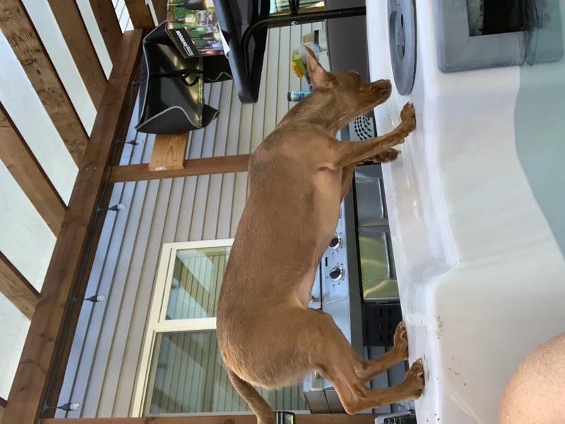 Reese’s thumbnail 3