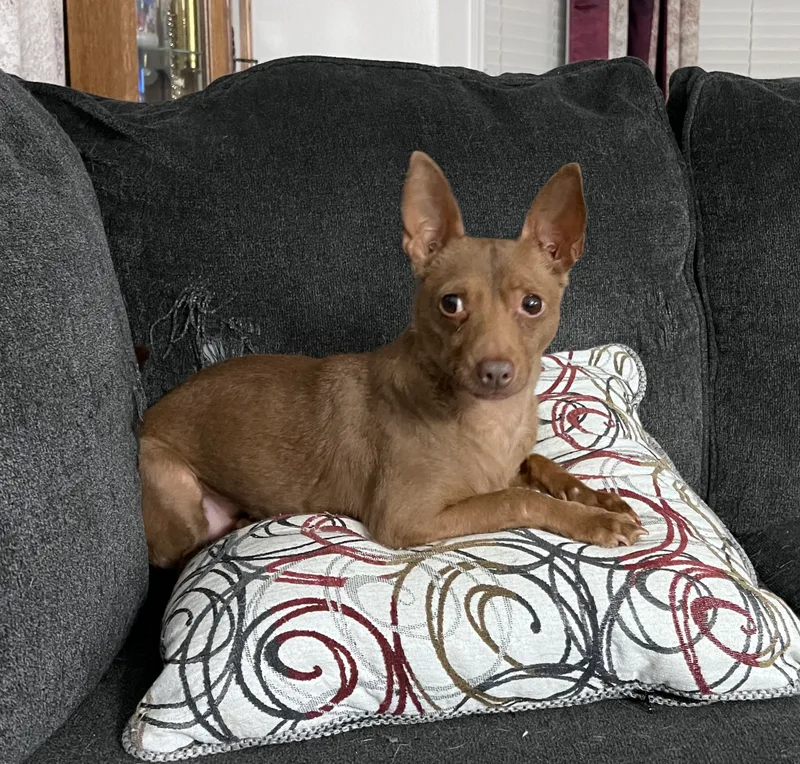 Reese’s thumbnail 4