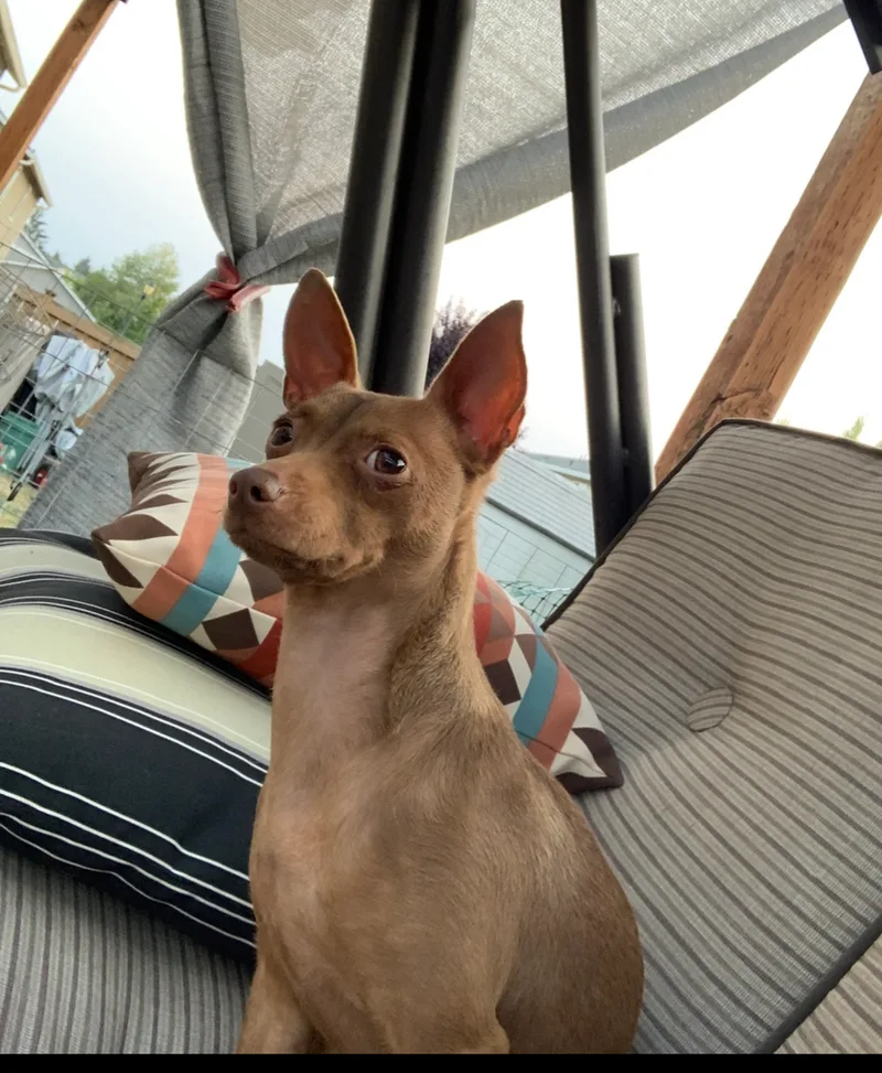 Reese’s thumbnail 5