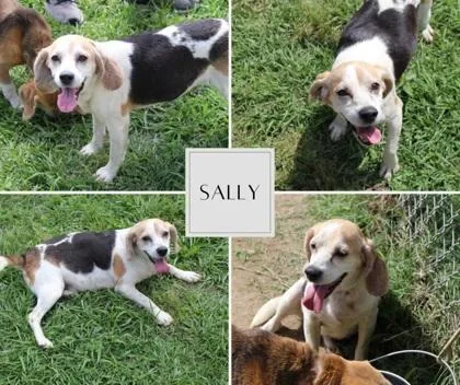 Sally thumbnail 2