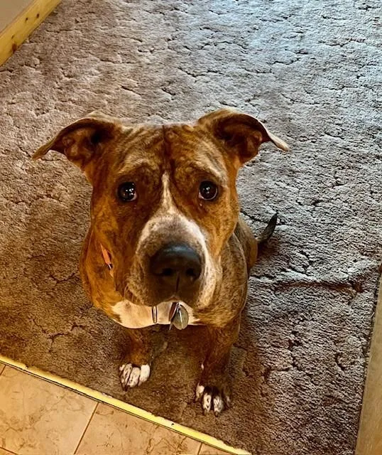 Peppercorn thumbnail 4