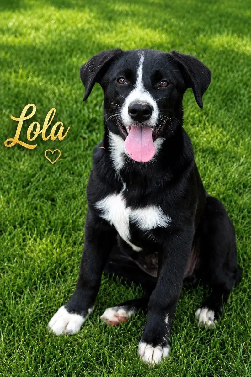 Lola thumbnail 3