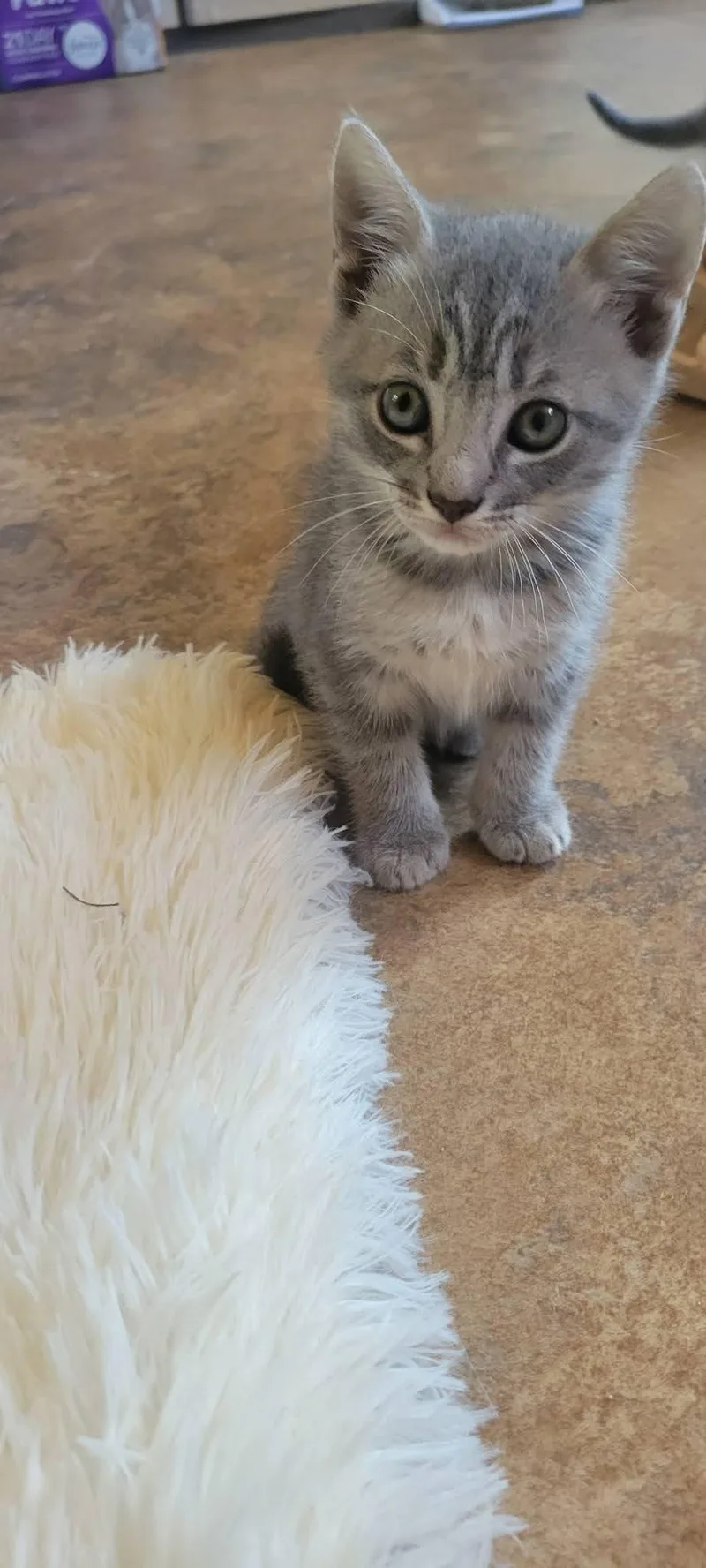Niblet