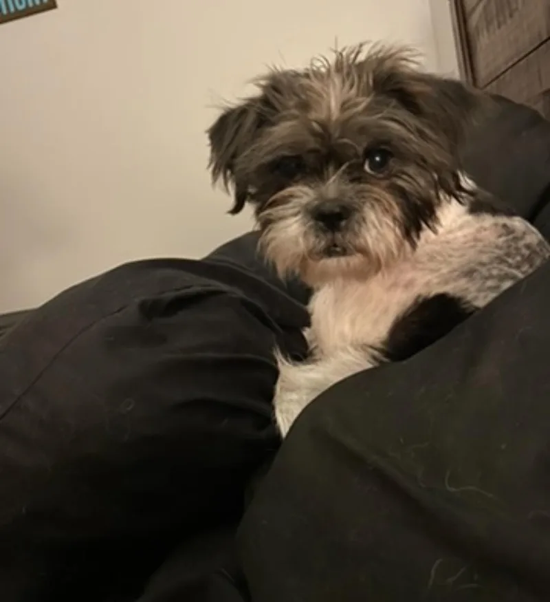 Gracie Lou thumbnail 5