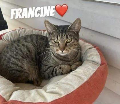 Francine