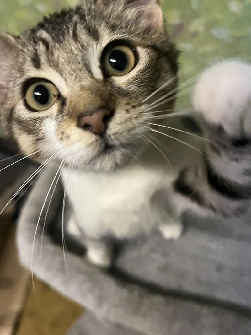 Zara And Zion thumbnail 2