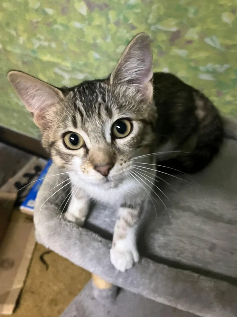 Zara And Zion thumbnail 3