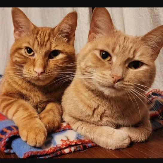 Princess Peach thumbnail 2