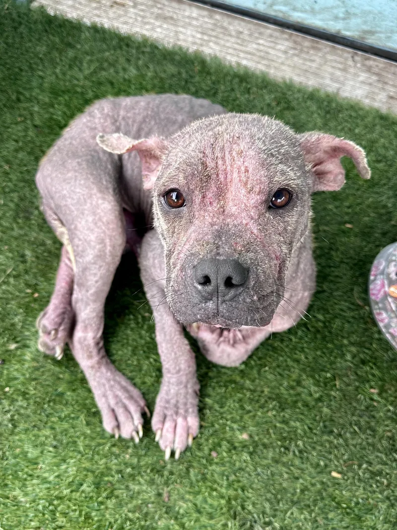 Walter White thumbnail 2