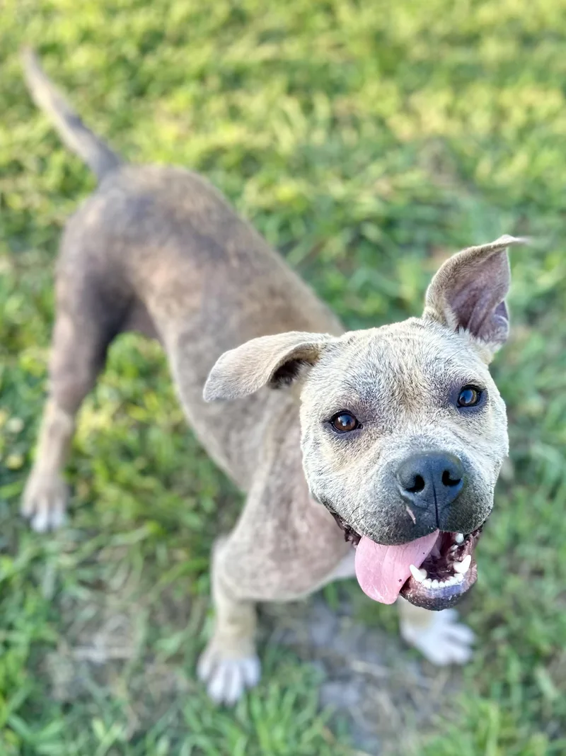 Walter White thumbnail 3