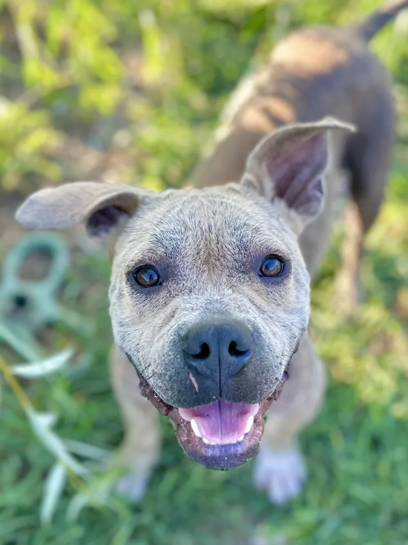 Walter White thumbnail 4