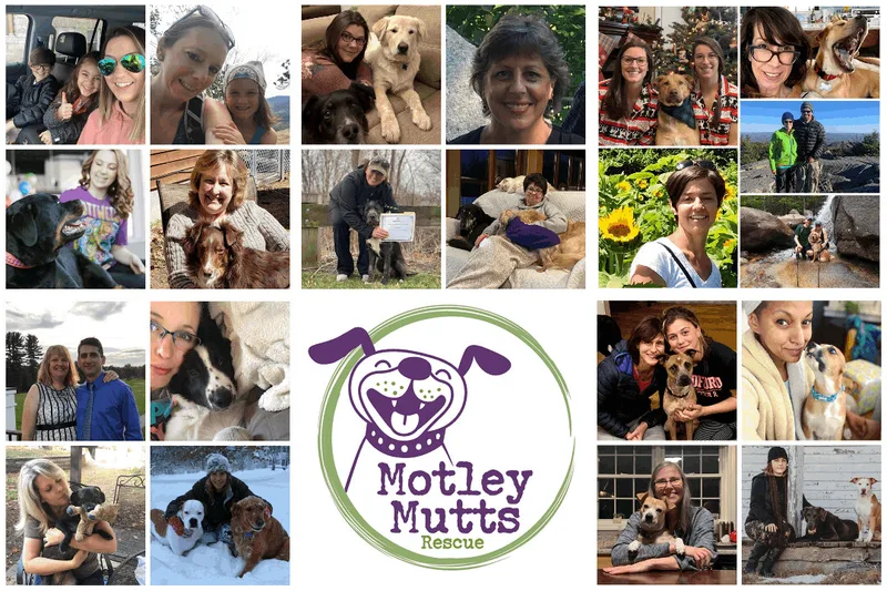 Volunteer Opportunities! thumbnail 2