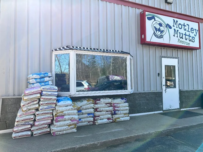 Volunteer Opportunities! thumbnail 3