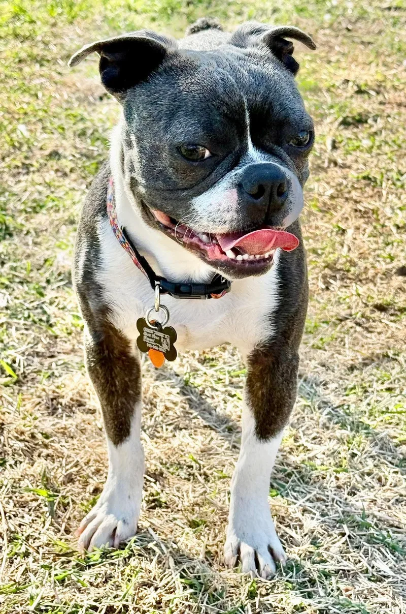 Yoda
