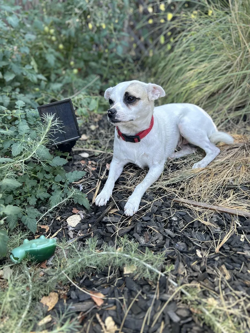 Tilde Bonded To Lil thumbnail 2