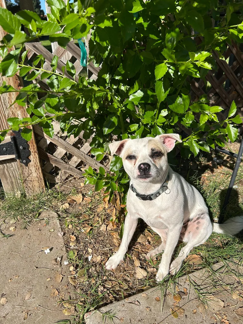 Tilde Bonded To Lil thumbnail 3