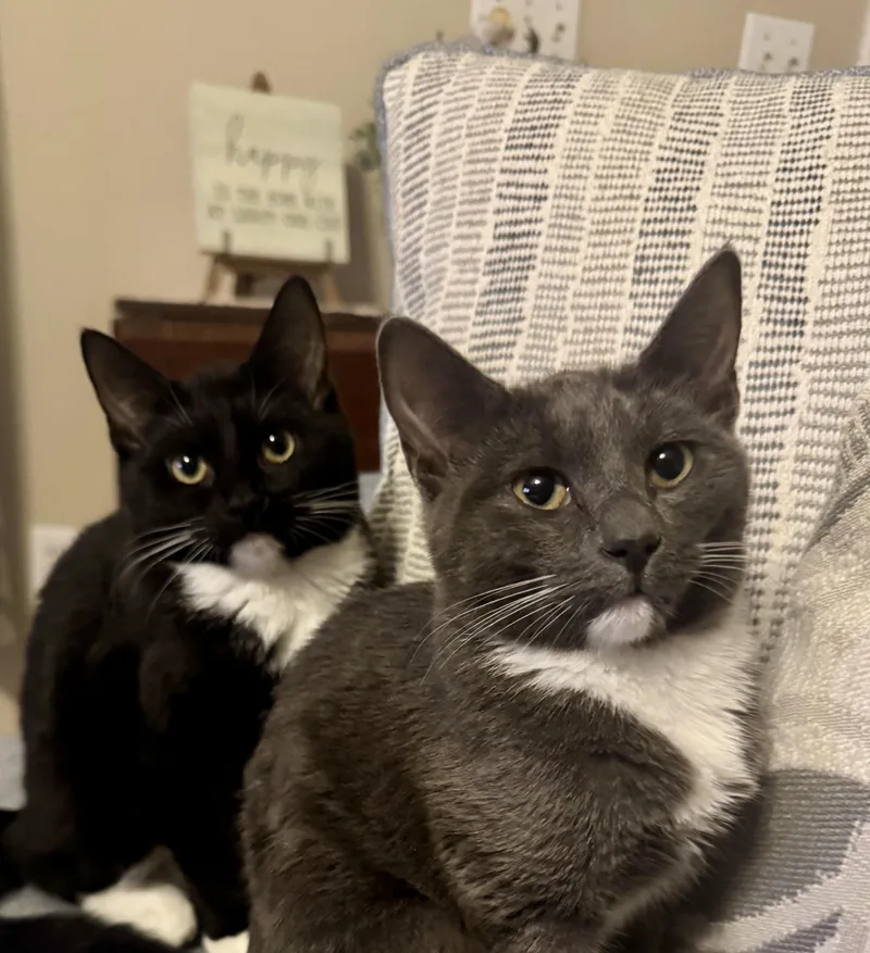 Gigi & Gracie Mae thumbnail 3