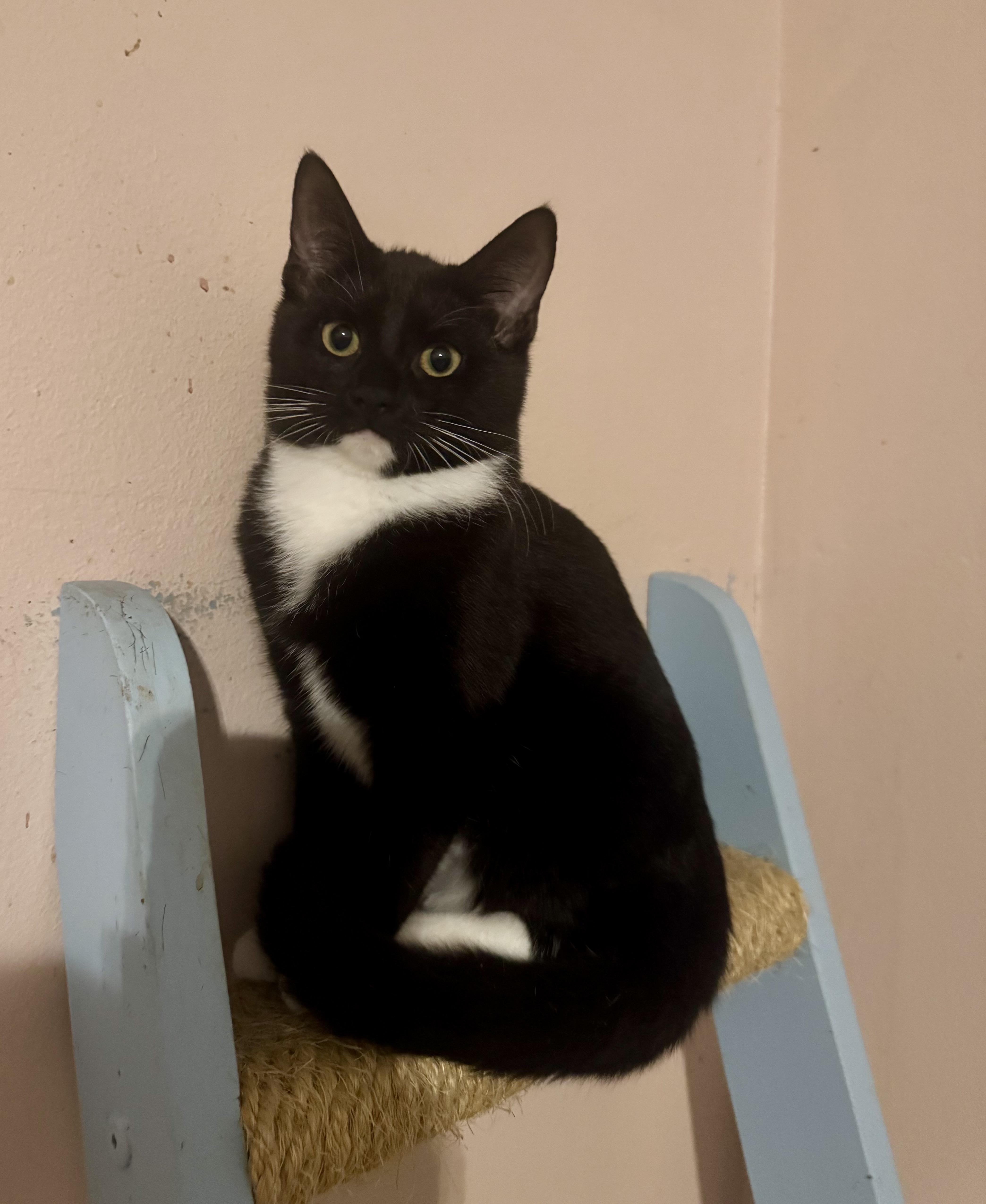 Gigi & Gracie Mae thumbnail 5