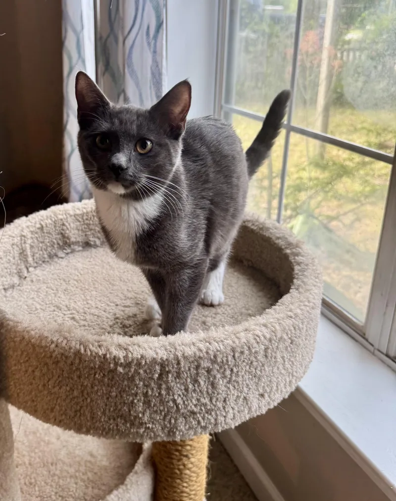 Gigi & Gracie Mae thumbnail 6