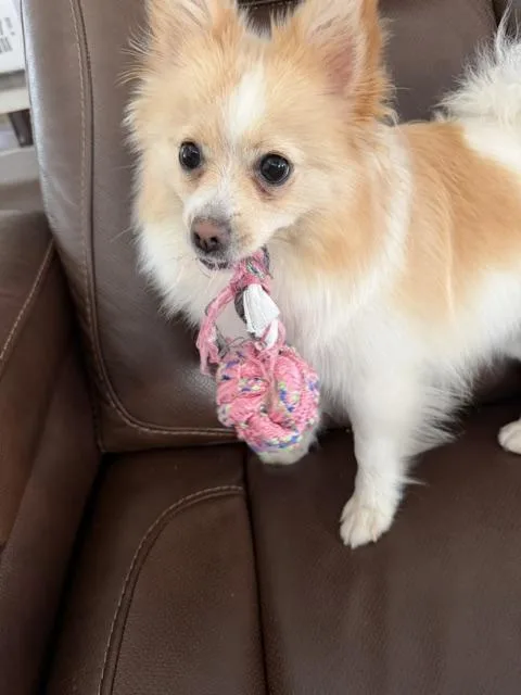 Lucy