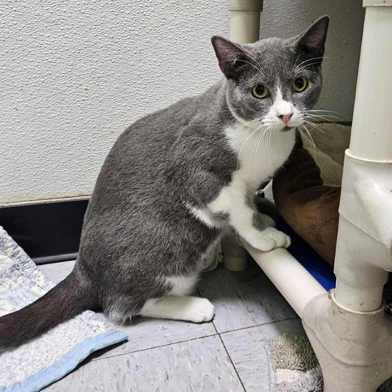 Mister Ralph thumbnail 2