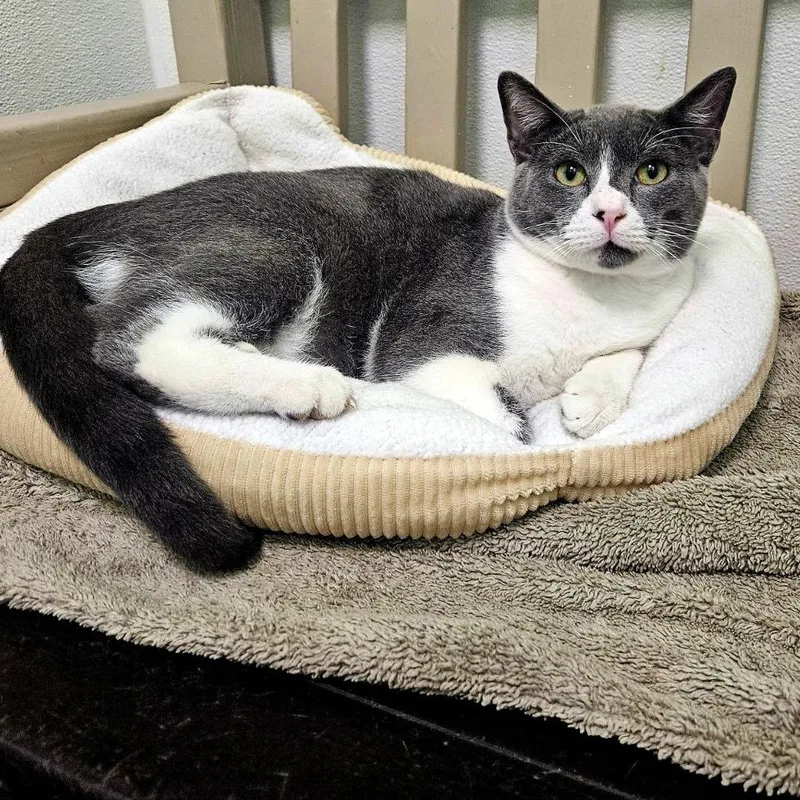 Mister Ralph thumbnail 3