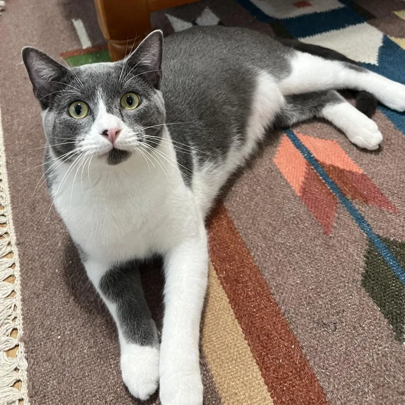 Mister Ralph thumbnail 4