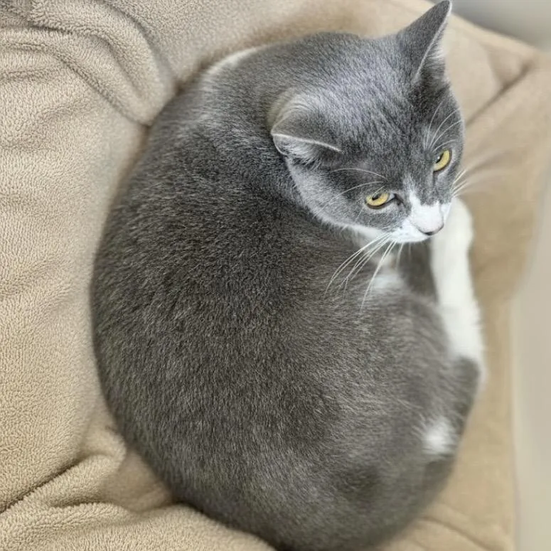 Mister Ralph thumbnail 5