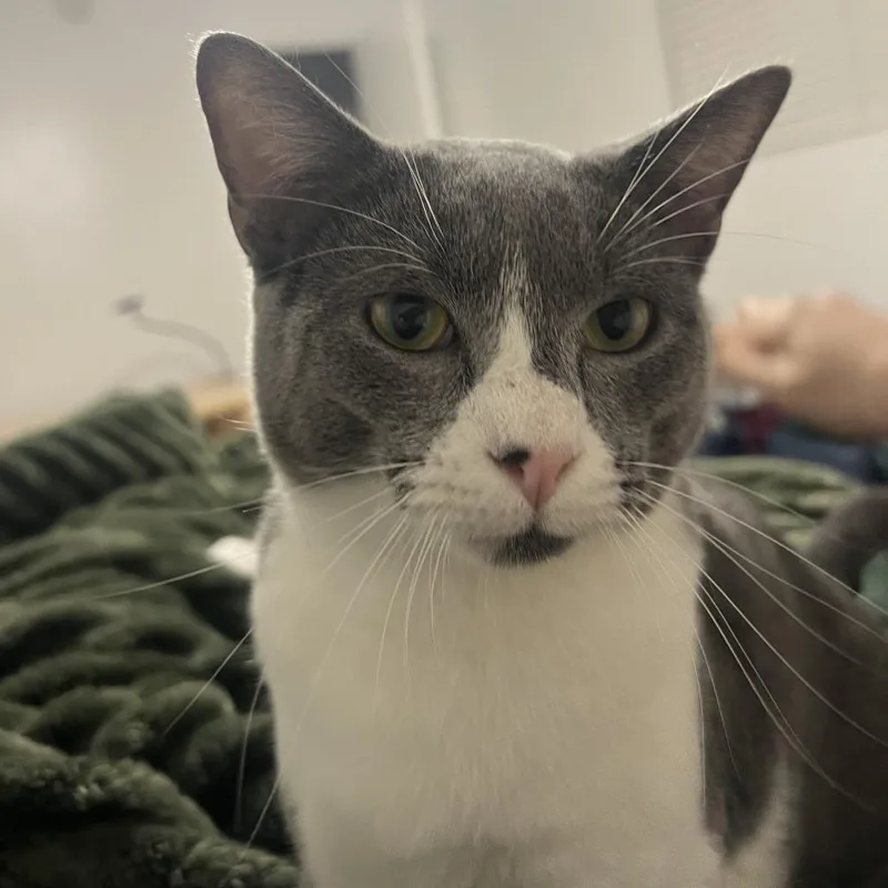 Mister Ralph thumbnail 6