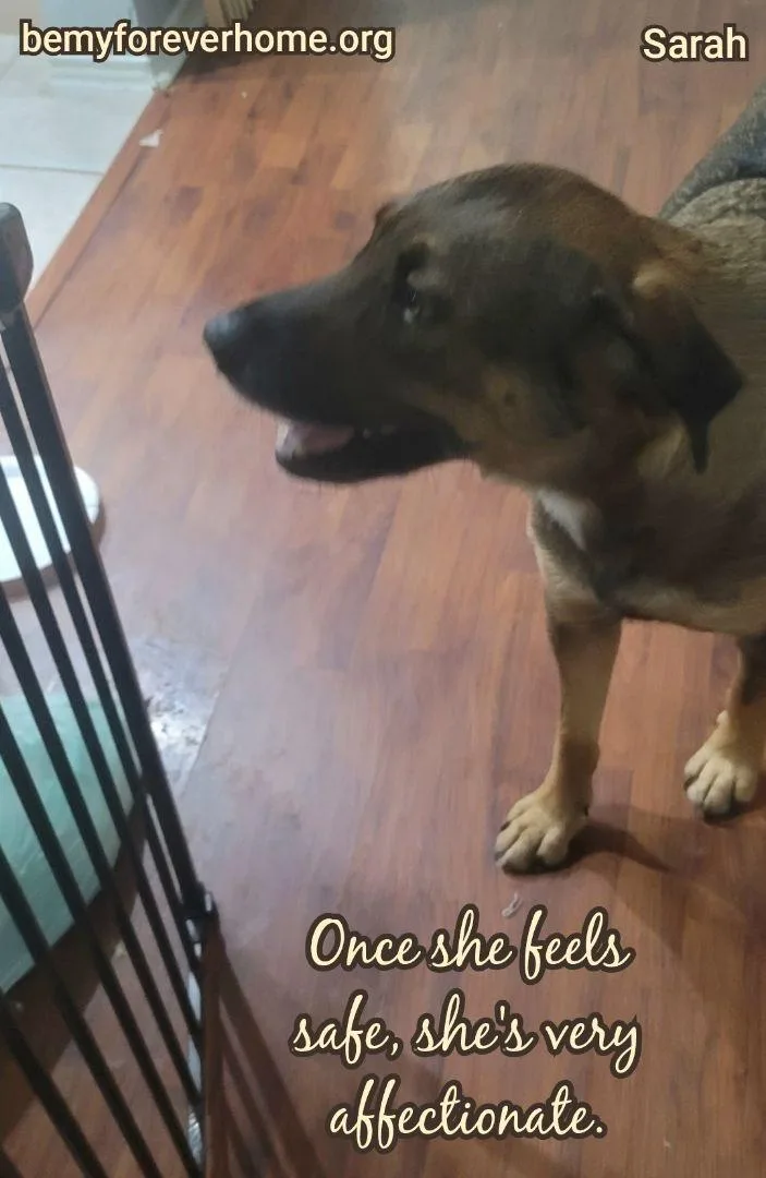 Sarah Bee thumbnail 2