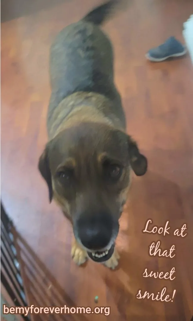 Sarah Bee thumbnail 3