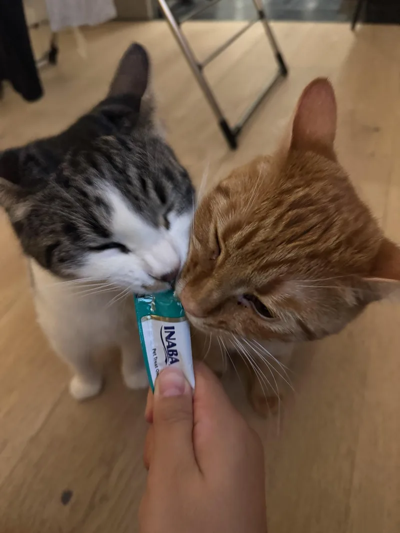 Otis & Tuff  thumbnail 2