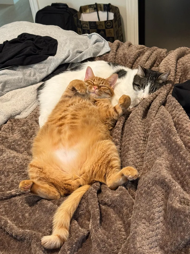 Otis & Tuff  thumbnail 4