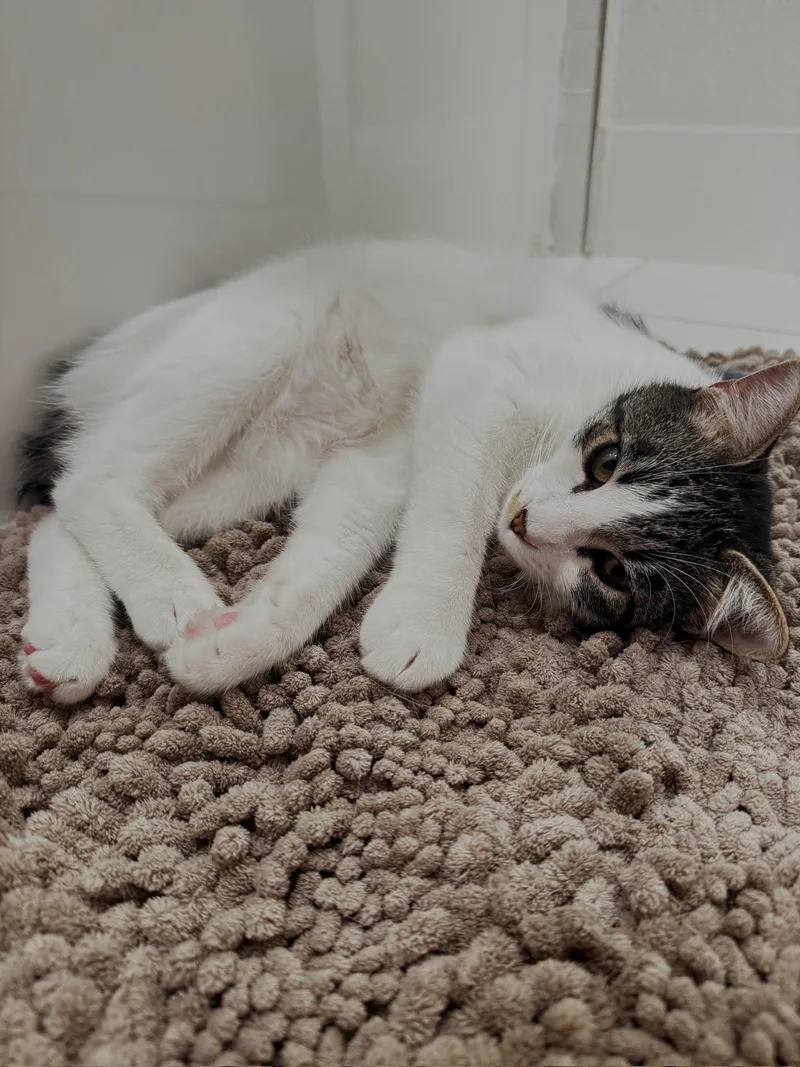 Otis & Tuff  thumbnail 6