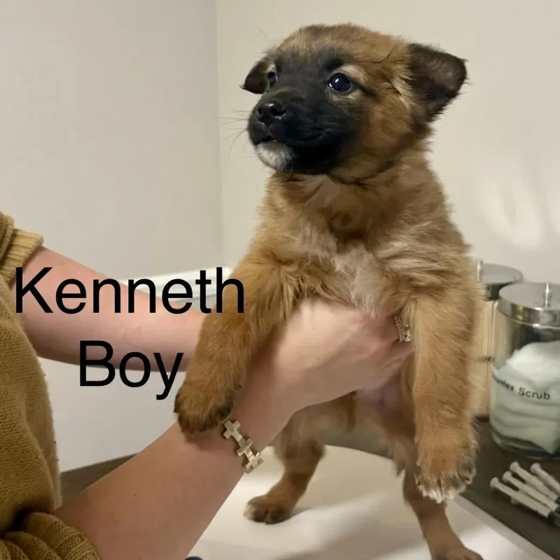 Kenneth thumbnail 2
